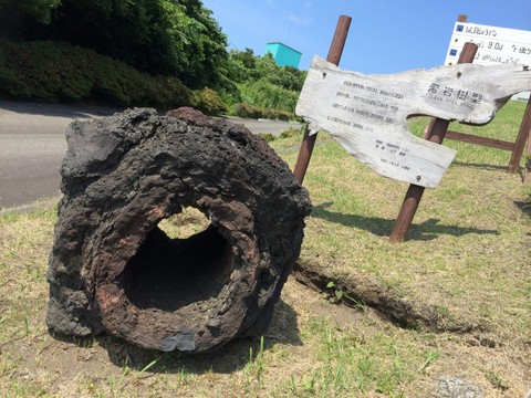 溶岩樹型