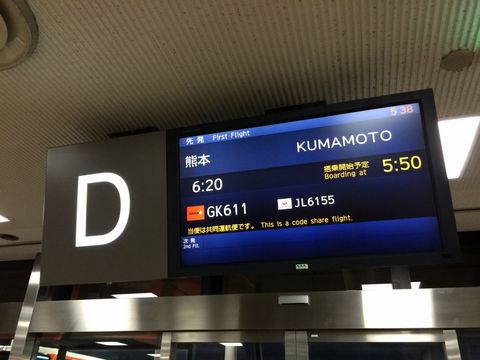 成田空港 Dゲート
